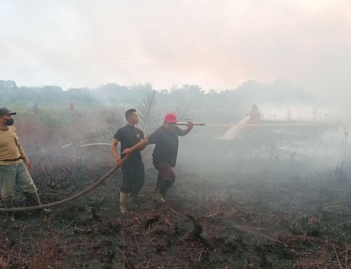 Senkom Mitra Polri Indragiri Hilir & Damkar Berhasil Padamkan Kebakaran Lahan 10 Hektar di Desa Pekan Tua